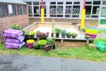 Some of the planting that took place